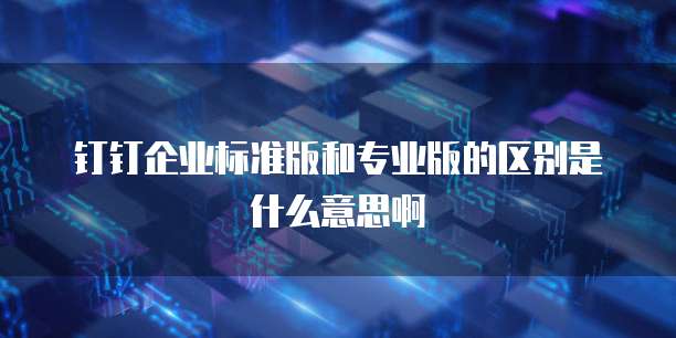 钉钉企业标准版和专业版的区别是什么意思啊
