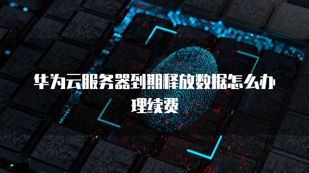 阿里云盘费用一年多少