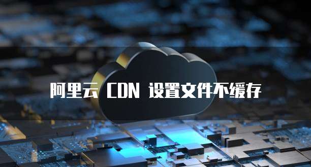 阿里云 CDN 设置文件不缓存