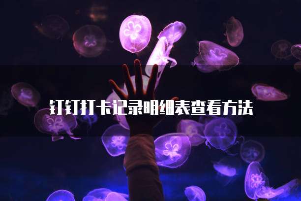 阿里云轻量服务器怎么进入