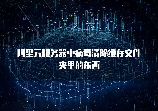 阿里云服务器中病毒清除缓存文件夹里的东西