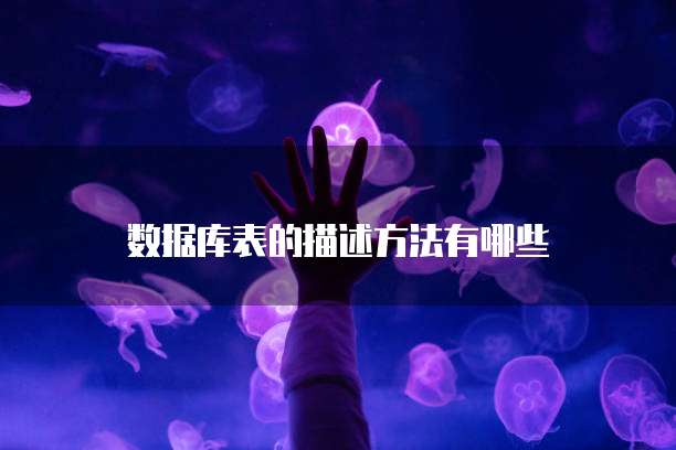 阿里云网盘终身会员:享受无限存储空间与高速下载
