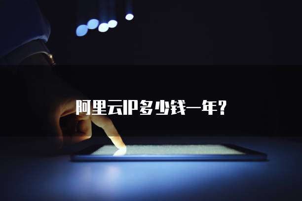阿里云ip多少钱一年？