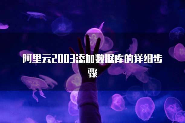 阿里云盘VIP价格是多少?