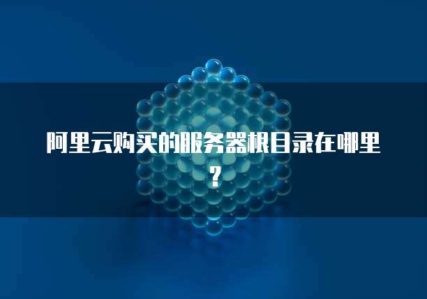 阿里云购买的服务器根目录在哪里?
