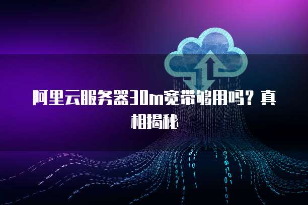 阿里云服务器30m宽带够用吗?真相揭秘