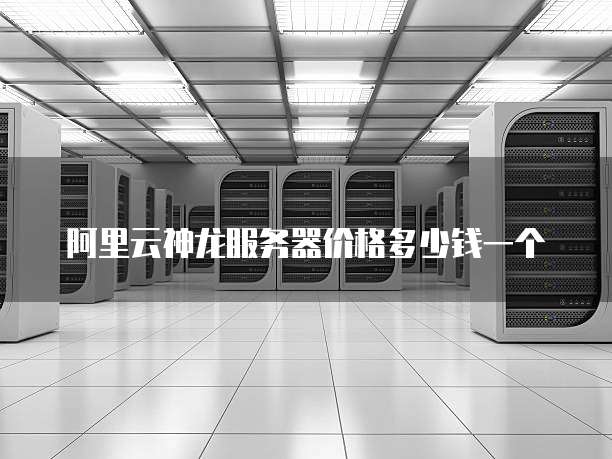 阿里云神龙服务器价格多少钱一个