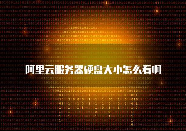 阿里云服务器硬盘大小怎么看啊