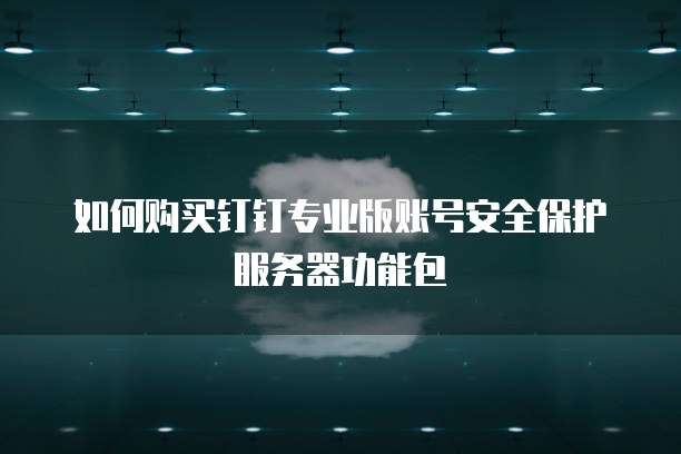 如何购买钉钉专业版账号安全保护服务器功能包