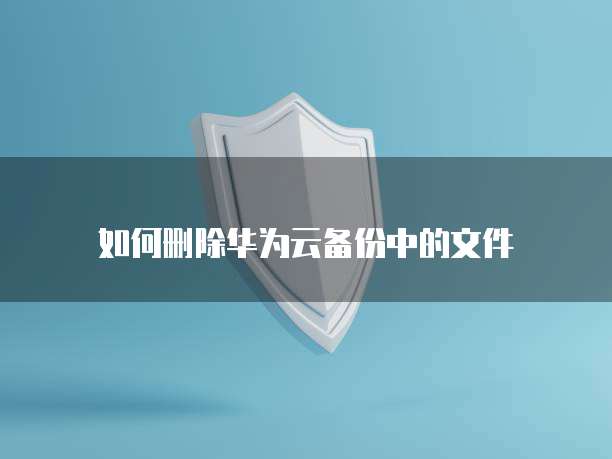 阿里云买的服务器可以接显示器吗?