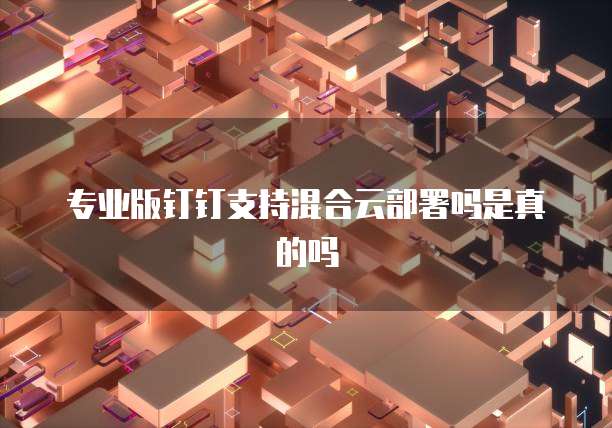 专业版钉钉支持混合云部署吗是真的吗