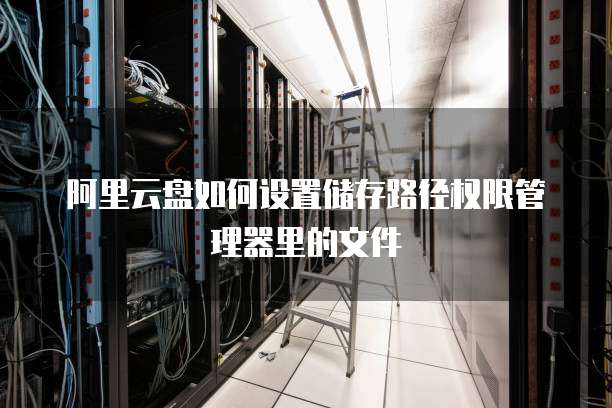 阿里云盘如何设置储存路径权限管理器里的文件