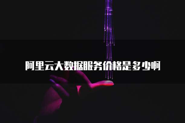 阿里云大数据服务价格是多少啊