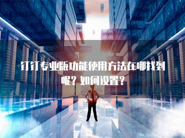 钉钉专业版功能使用方法在哪找到呢?如何设置?