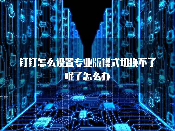 钉钉怎么设置专业版模式切换不了呢了怎么办