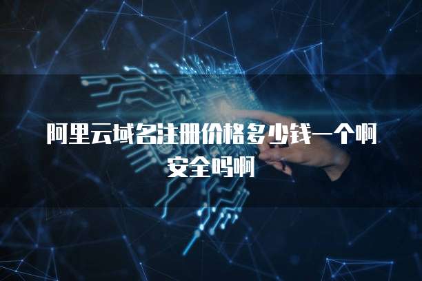 阿里云域名注册价格多少钱一个啊安全吗啊