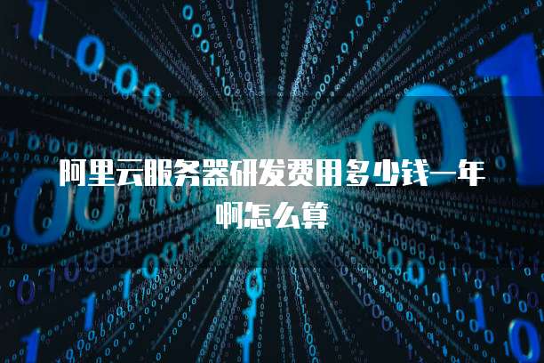 阿里云服务器研发费用多少钱一年啊怎么算