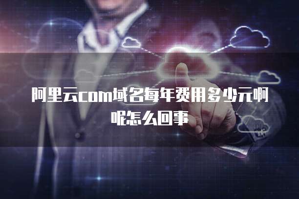 阿里云com域名每年费用多少元啊呢怎么回事