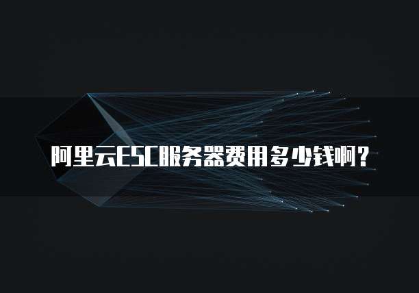 阿里云ESC服务器费用多少钱啊?