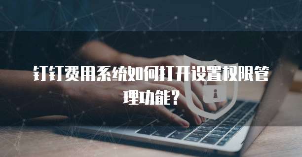 钉钉费用系统如何打开设置权限管理功能？