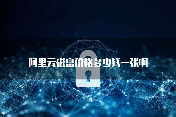 阿里云磁盘价格多少钱一张啊