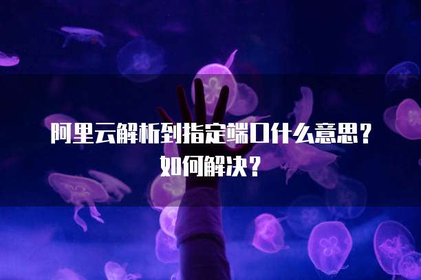 阿里云解析到指定端口什么意思？如何解决？
