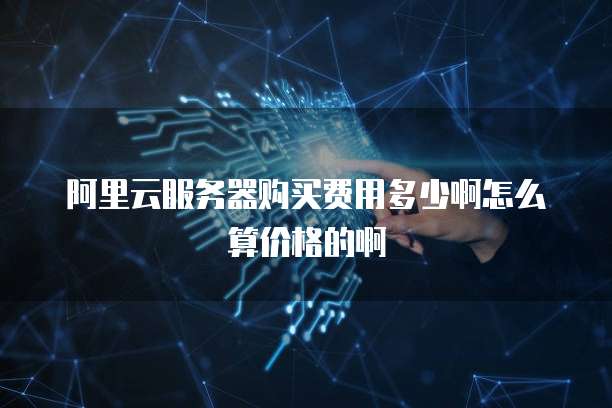 阿里云服务器购买费用多少啊怎么算价格的啊