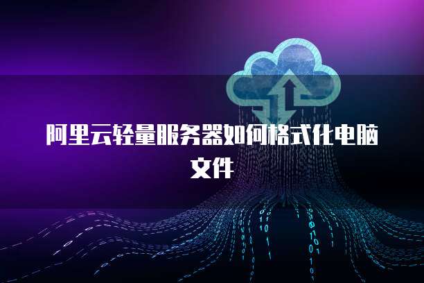 阿里云轻量服务器如何格式化电脑文件