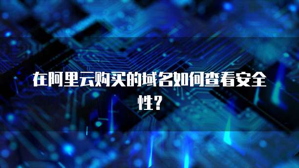 在阿里云购买的域名如何查看安全性?