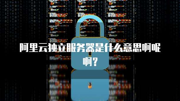 阿里云独立服务器是什么意思啊呢啊?