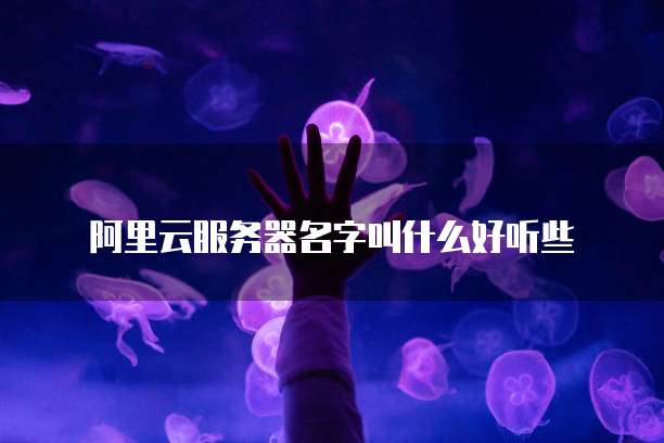 阿里云服务器名字叫什么好听些