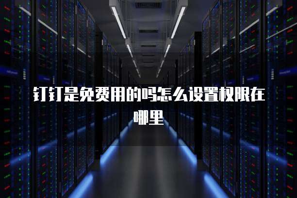钉钉是免费用的吗怎么设置权限在哪里