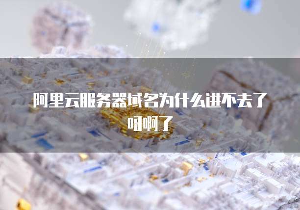 阿里云服务器域名为什么进不去了呀啊了