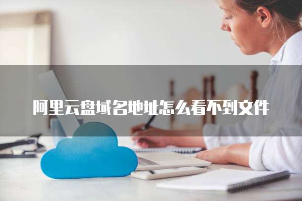 阿里云盘域名地址怎么看不到文件