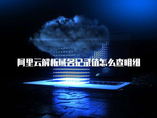 阿里云解析域名记录值怎么查明细