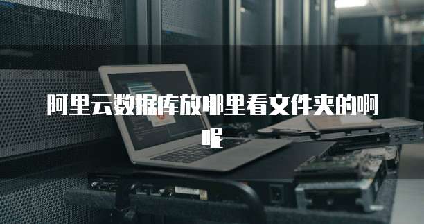 阿里云数据库放哪里看文件夹的啊呢