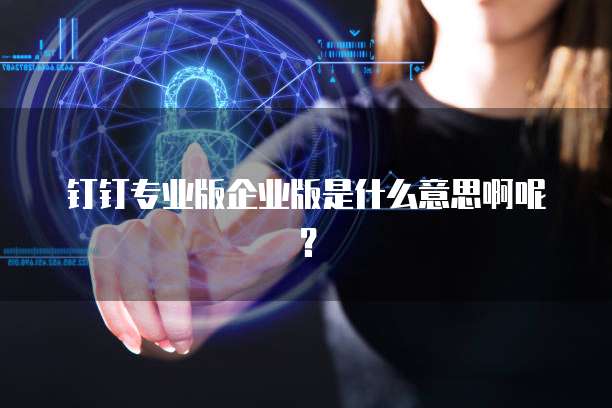 钉钉专业版企业版是什么意思啊呢?