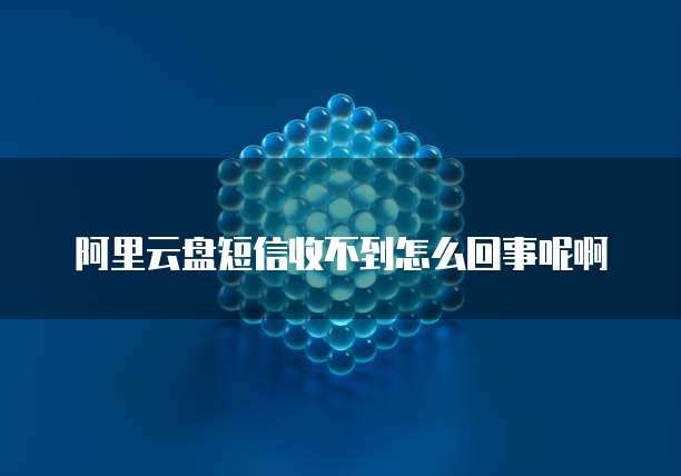 阿里云盘短信收不到怎么回事呢啊