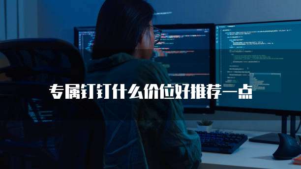 专属钉钉什么价位好推荐一点