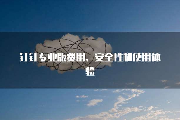 钉钉专业版费用、安全性和使用体验