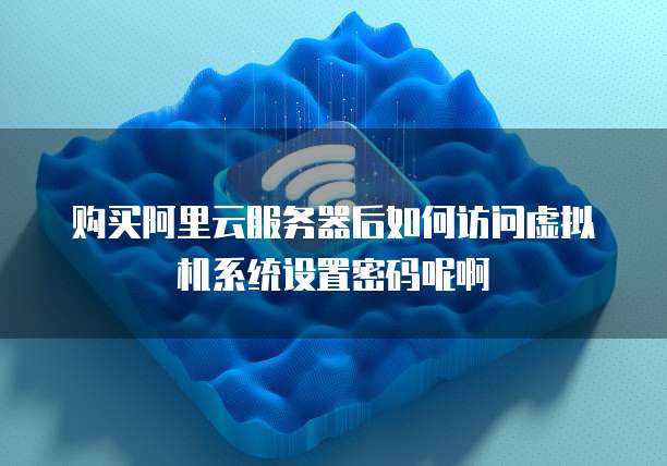 购买阿里云服务器后如何访问虚拟机系统设置密码呢啊