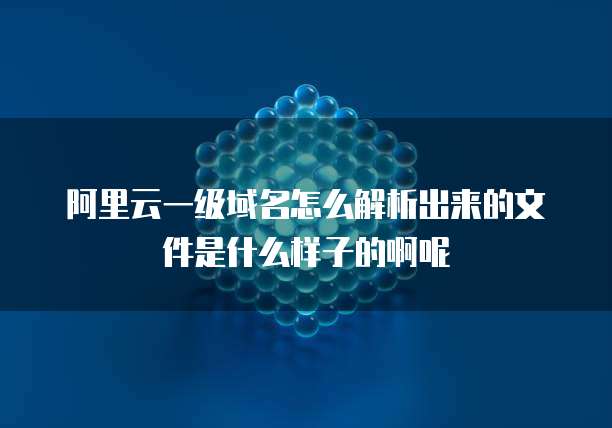 阿里云一级域名怎么解析出来的文件是什么样子的啊呢