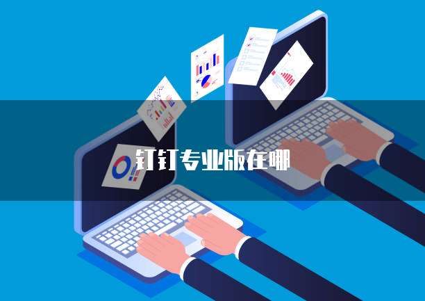 钉钉专业版在哪