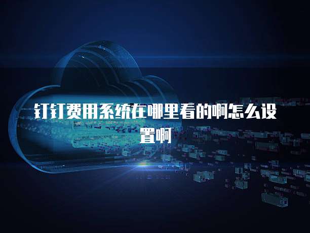 钉钉费用系统在哪里看的啊怎么设置啊