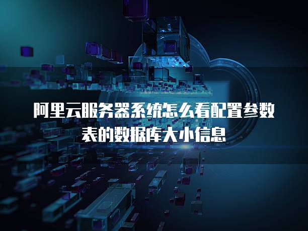 阿里云服务器系统怎么看配置参数表的数据库大小信息