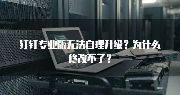 钉钉专业版无法自理升级?为什么修改不了?