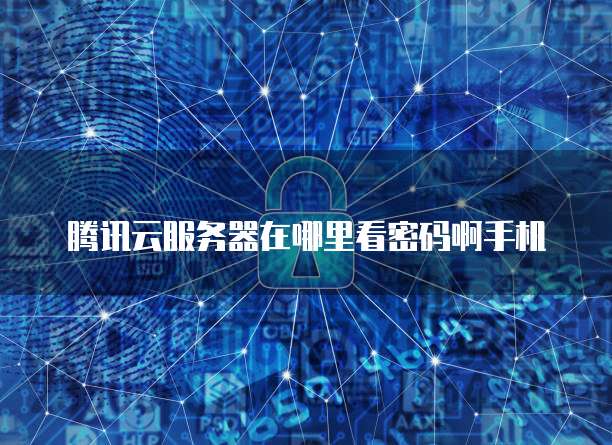 阿里云轻量应用服务器:如何设置网络连接