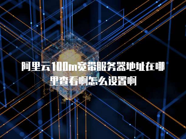 阿里云100m宽带服务器地址在哪里查看啊怎么设置啊