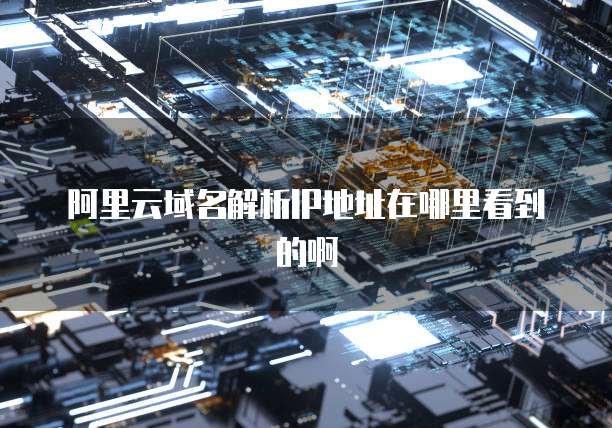 阿里云域名解析IP地址在哪里看到的啊