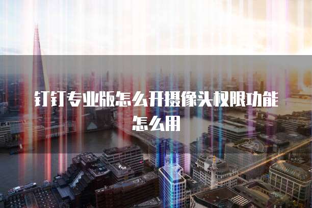 钉钉专业版怎么开摄像头权限功能怎么用